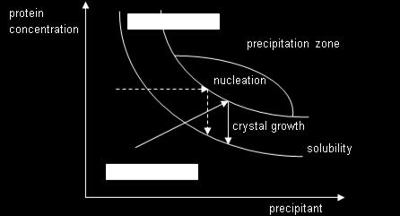 raggiungimento della curva di solubilità (equilibrio cristalli-soluzione) Variabili chimico-fisiche che influenzano