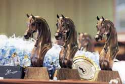 DUBAI INTERNATIONAL ARABIAN HORSE CHAMPIONSHIP 2011 TITLE SHOW Prize Money Total Amount $ 4,000,000 ECAHO Qualifying Class $ 50,000 1 st in the Class $