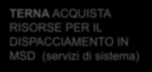 Il modello per l Integrazione DISPACCIAMENTO CENTRALIZZATO ESTESO TERNA ACQISTA RISORSE PER IL DISPACCIAMENTO IN MSD (servizi di