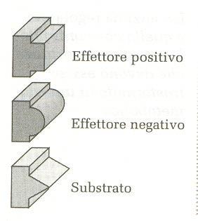 positivo induce modificazioni che stabilizzano l enzima nella sua forma attiva: essa può legarsi al