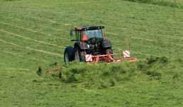 Le corrette impostazioni della macchina, la regolarità dello sfalcio e le buone condizioni del terreno sono elementi essenziali per evitare un ritardo nella ricrescita dell'erba e per una migliore