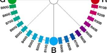 delle Nuance Spazio delle Tonalità Nel cerchio i quattro colori elementari sono situati ai quattro punti cardinali.