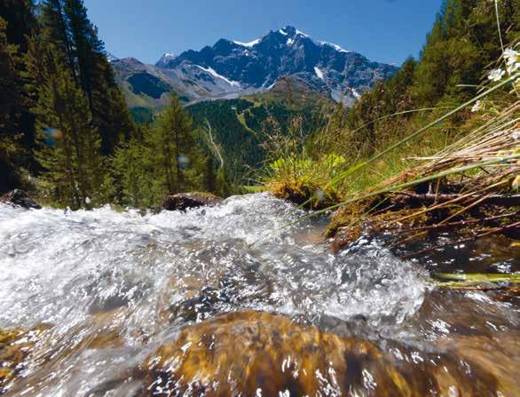 Merano Con i suoi 3905 metri di altezza l Ortles è la cima più alta dell Alto Adige. Qui la natura e i centri abitati si fondono in un unica entità armoniosa.