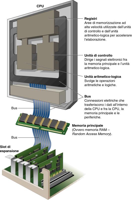 Riassumendo: Memoria, CPU, bus Prestazioni e colli di bottiglia: La memoria centrale, il bus e il calcolatore lavorano a velocità diverse Le CPU sono più veloci delle