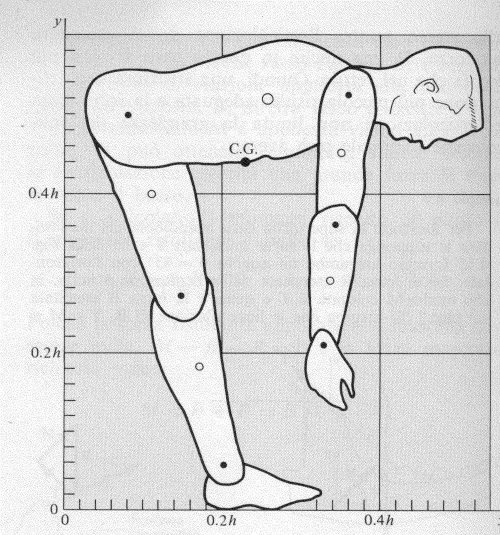 Alcuni numeri Il peso del tronco del corpo (vedi figura) w=50kg.