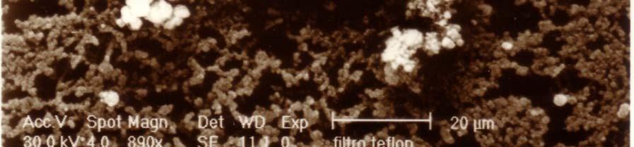 PM 10 -D eq <10 µm coarse particles (PM 2.5-10 10) ) 2.