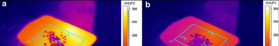 RISULTATI: EF e parametri d influenza Influenza della temperatura: fattori di