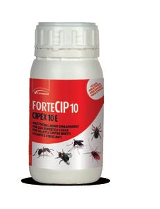 INSETTICIDI AMBIENTALI Fortecip 10 (Cipex 10 E) 250 ml e 1 L Insetticida liquido emulsionabile per uso domestico e civile. Per la lotta contro insetti volanti e striscianti.