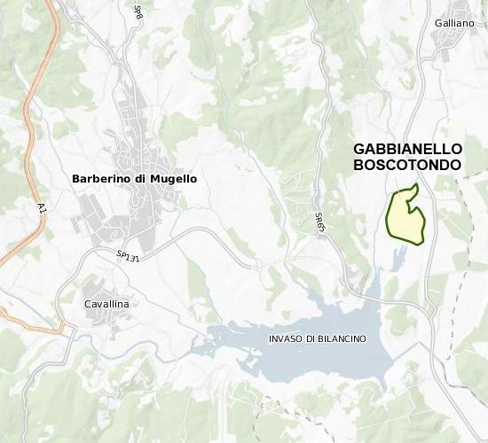 Gabbianello Boscotondo L'area protetta si colloca all'interno del tipico paesaggio del Mugello, con ampie zone di boschi misti decidui e sempreverdi, zone coltivate e pascoli, e si estende, con una