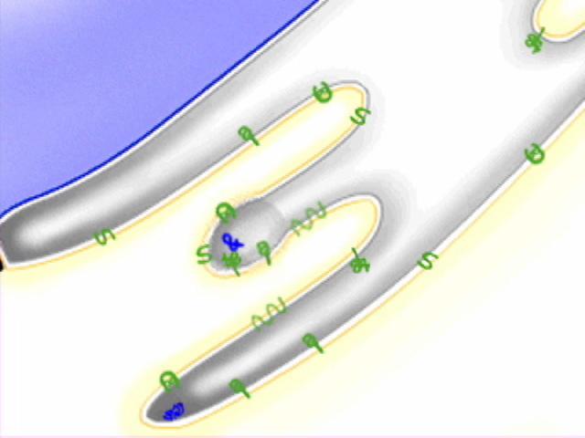 proteina di secrezione: RE