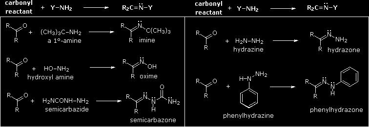 Reazioni con gruppo carbonilico L N agisce da nucleofilo e attacca facilmente il carbonio carbonilico.