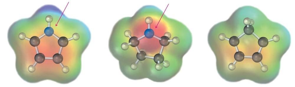 Ammine Eterocicliche Pirrolo Atomo di N: meno ele]ron- ricco, meno basico e meno nucleofilo che nella pirrolidina (ammina