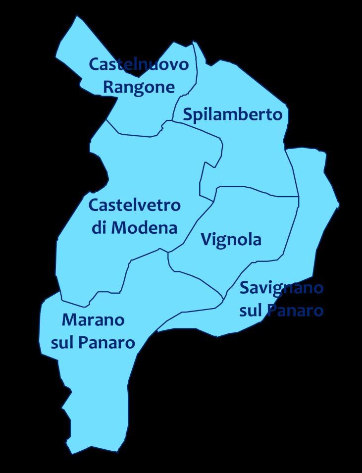 IL CONFRONTO CON I DATI DI SPESA NAZIONALI E DEL CENTRO NORD- FUSIONE DI PIANURA Fusione dei Comuni della Pianura - Comuni di Vignola, Castelnuovo Rangone, Spilamberto, Castelvetro di Modena,