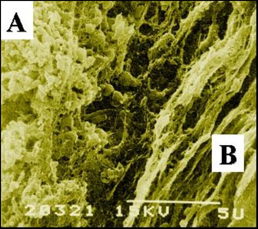 Richiesta d aria per lo scouring delle membrane dai primordi ad oggi si è ridotta di circa 6 volte: Aerazione continua Aerazione ciclica sequenziale Ottimizzazione punto di erogazione aria