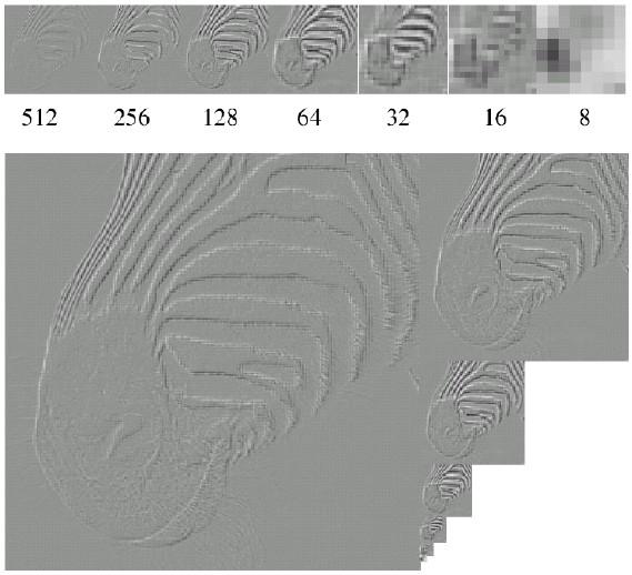 Piramidi di immagini Una piramide Gaussiana è molto ridondante perché intuitivamente mantiene sempre le informazioni alle basse frequenze e rimuove via via