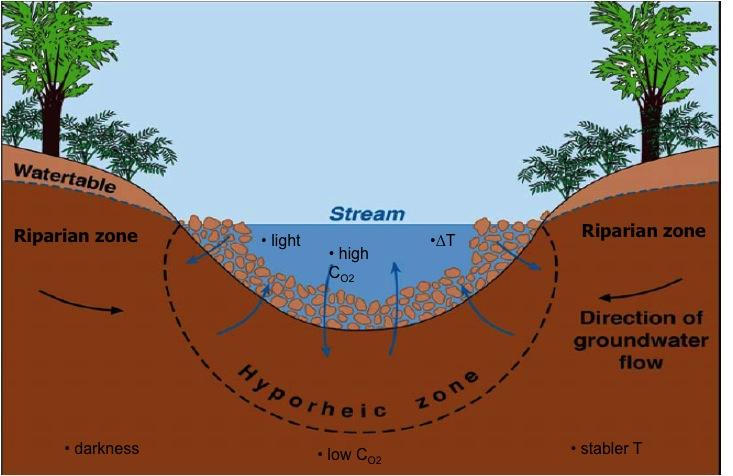 L attività dell'unità di Ricerca di Torino si colloca principalmente all interfaccia tra il versante ed il corso d acqua, e ha riguardato