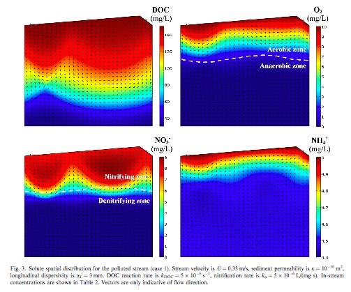 C. Trasformazioni microbiche dei nutrienti (1) Modello numerico accoppiato