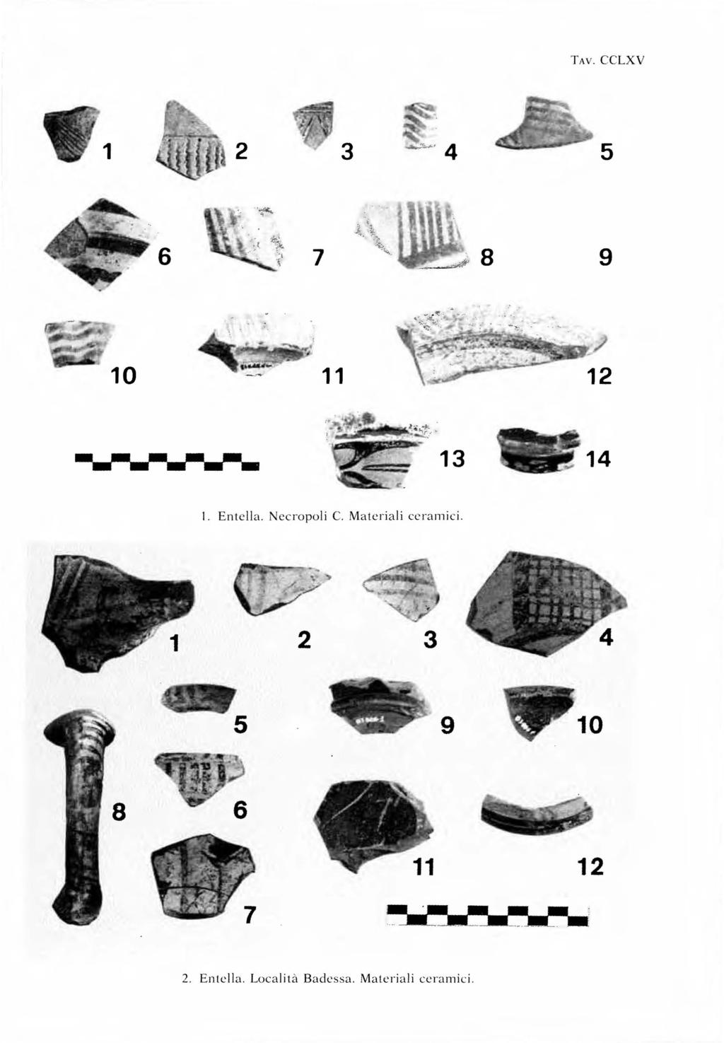 TAV. CCLXV 1 2 3 5 6 7 9 11 --- - - ~~- 13 14 \. Entella. Necropoli C.
