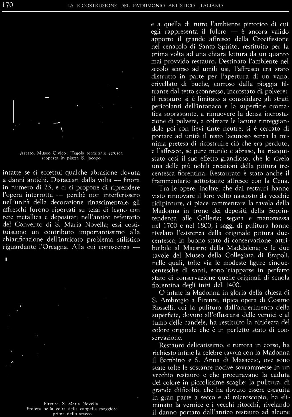 Maria Novella; essi costi~ tuiscono un contributo importantissimo alla chiarificazione dell'intricato problema stilistico riguardante l'orcagna. Alla cui conoscenza - Firenze, S.