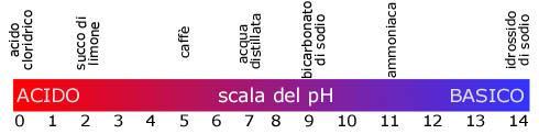 Il ph, le soluzioni acide e basiche Se però nell acqua vengono disciolte sostanze (dette acidi) capaci di rilasciare ioni idrogenioni H+ allora il valore degli H+ supererà il valore degli OH- ed il