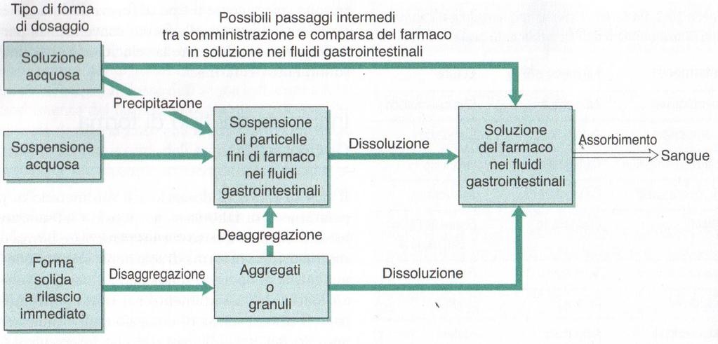 Variabili formulative biodisponibilità: