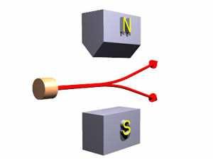 Momento magnetico di e - Allo spin è associato un dipolo magnetico µ r In un campo magnetico gli elettroni vengono deflessi in modo opposto secondo l orientazione s E un momento magnetico intrinsico