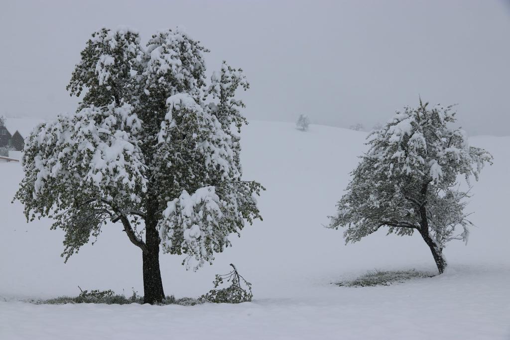 Bollettino del clima Aprile 2017 _ La prima metà di aprile è stata caratterizzata da tempo ben soleggiato e molto mite, in netto contrasto con la seconda metà, con temperature nettamente sotto la