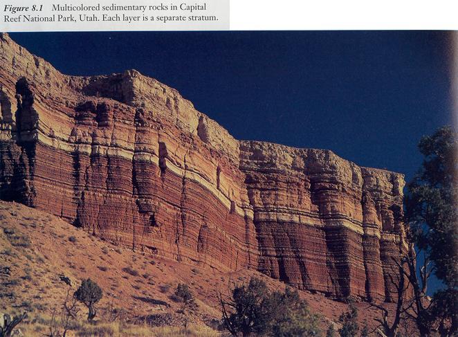 Stratigrafia In una serie rocciosa lo strato è l unità elementare.