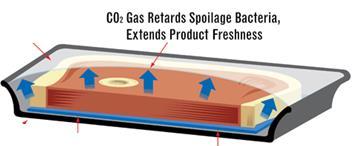 MAP Il ruolo della CO 2 L anidride carbonica inibisce la crescita della maggior parte dei batteri aerobi e