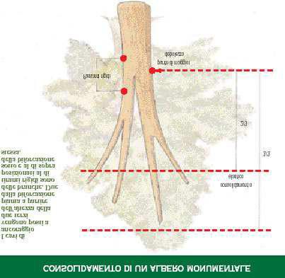 I cavi di ancoraggio, che possono essere in acciaio o in materiali sintetici, devono essere posizionati in linea di massima a due terzi dell altezza della parte danneggiata, misurata a partire dalla