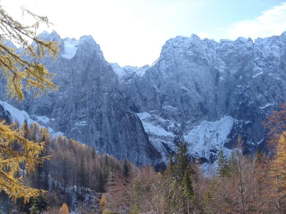 Le foreste di proprietà della Regione Friuli Venezia Giulia sono presenti un tutte le 4 province