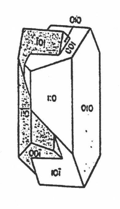 fisiche 1)