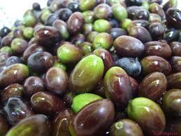 Da 100 kg di olive 10-20