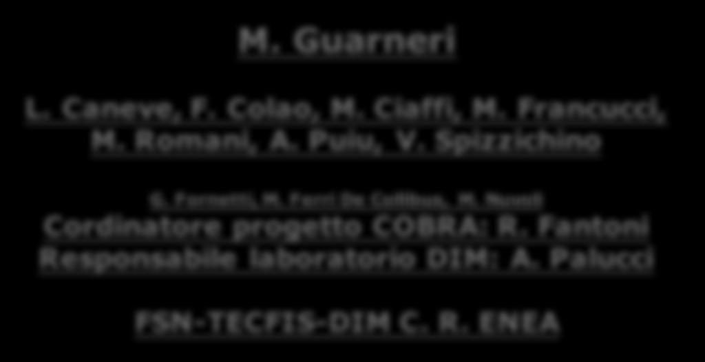 futuri sviluppi M. Guarneri L. Caneve, F.