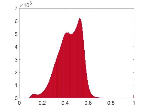 Analisi preliminare delle immagini ITR Distribuzione delle riflettività normalizzate