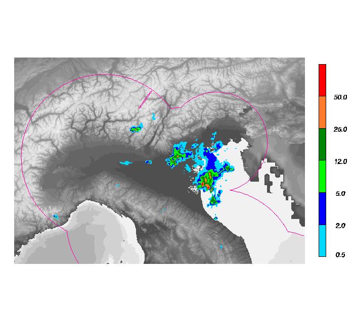 Figura 3: Mappe di precipitazione istantanea dal mosaico radar di protezione