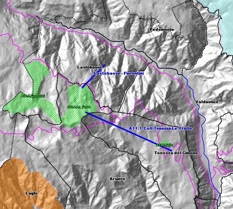 3.2) Identificazione dei siti della rete Natura 2000 interessati e descrizione 3.2.1) Elenco siti della rete Natura 2000 coinvolti dal collegamento (area di valutazione) SIC-ZPS IT3220036 Nome to: