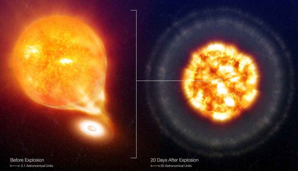 SN 2006X, before and after the Type Ia Supernova explosion (artist's