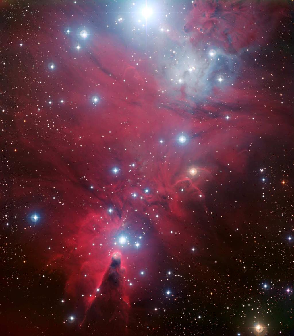 NGC 2264 and the Christmas Tree cluster Astronomia: