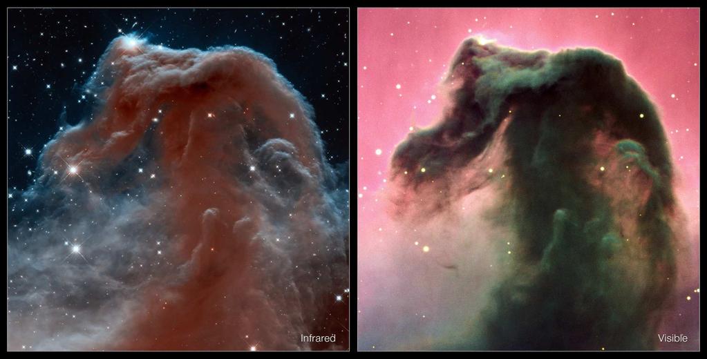 Visible and infrared views of the Horsehead Nebula