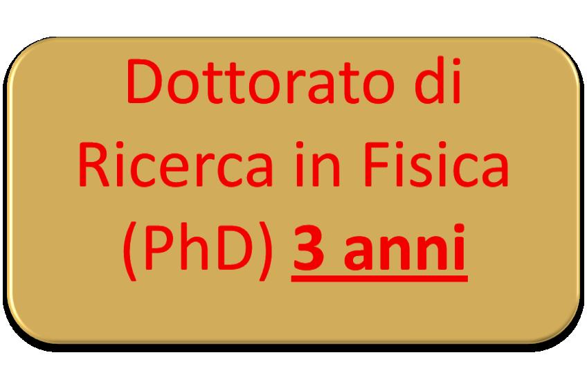 Post Laurea in