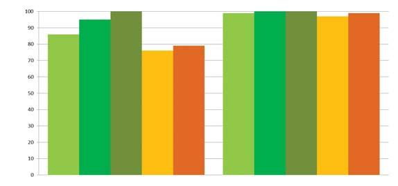 GEODIS è un formulazione originale, PE (polvere emulsionabile), confezionata in sacchetti idrosolubili da 250 g, studiata appositamente per l impiego su bulbose e non si devono eseguire pesate.