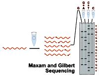 DNA Sequencing: Sanger method vs.