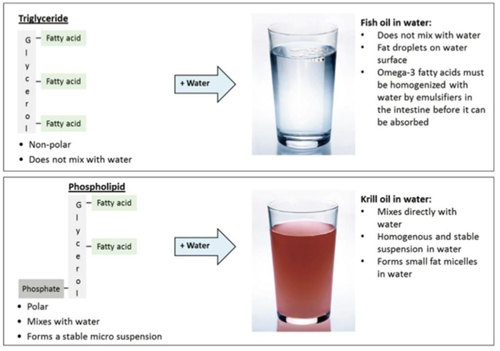 KRILL OIL: