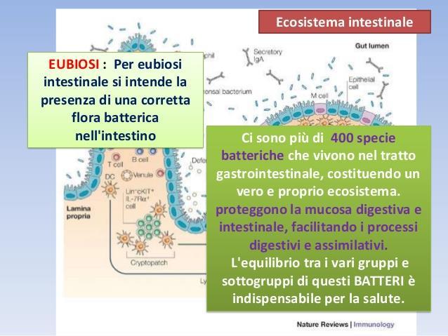 EUBIOSI