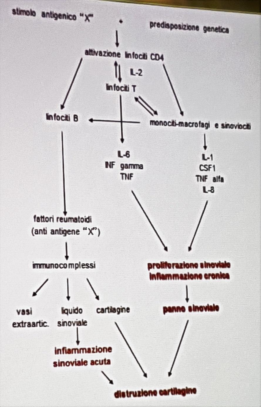 Clinica: Esordio insidioso (IMPORTANTE DD con Polimialgia in cui l esordio è acuto), con senso di affaticamento, anoressia, debolezza.