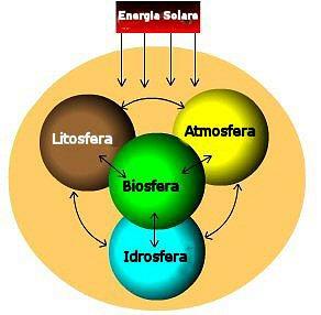 Sulla Terra possiamo distinguere quattro parti strettamente connesse tra loro: 1. idrosfera 2. atmosfera 3. litosfera 4.