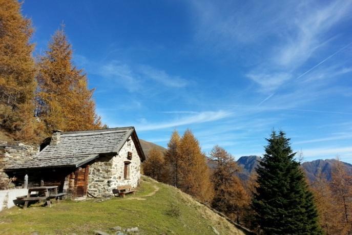 Programma del corso di Natour Biowatching in Val di Rabbi, Trentino Da GIOVEDI 18 a DOMENICA 21 maggio 2017: Week-end speciale in Val di Rabbi, nel cuore trentino del Parco Nazionale dello Stelvio.