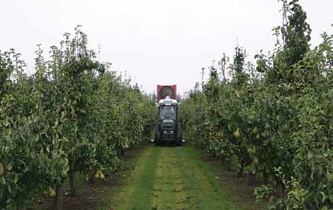 Ugelli a fessura VisiFlo Eccellenti per l uso nelle applicazioni localizzate con atomizzatori per frutteti e vigneti e su altre colture.