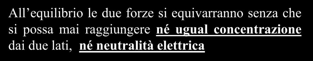 sottratte dall altra parte) La differenza di potenziale andrà aumentando e inizierà a ri-sospingere lo ione dentro la